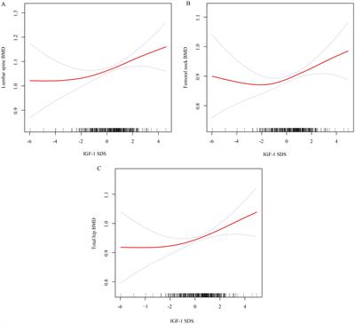 Association between serum insulin-like growth factor-1 and bone mineral density in patients with type 2 diabetes